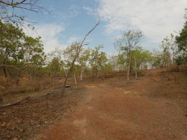 Farm Sold - NT - Adelaide River - 0846 - Freehold parcel good for horses and cattle grazing.  (Image 2)