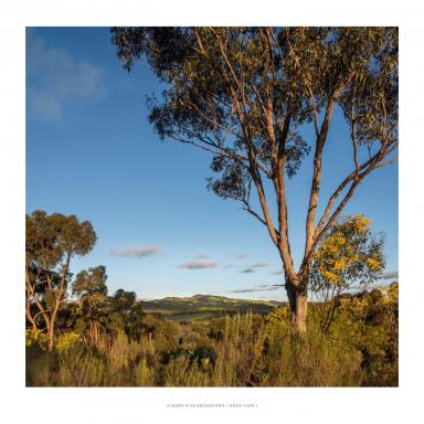 Farm For Sale - VIC - Broadford - 3658 - ALBERO RISE - NEWEST TITLED LAND IN BROADFORD  (Image 2)