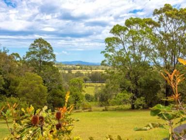 Farm Sold - NSW - Mitchells Island - 2430 - ELEVATION WITH COMMANDING RIVER VIEWS  (Image 2)