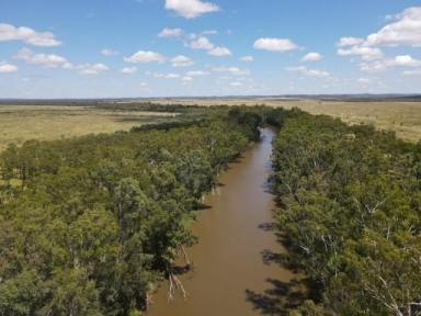 Farm Sold - QLD - Clermont  - 4721 - "THERESA CREEK" CLERMONT  QLD   (Image 2)