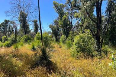 Farm Sold - WA - Gidgegannup - 6083 - Magical Rare Bush Block  (Image 2)