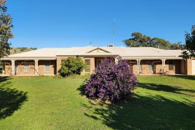 Farm Sold - VIC - Euroa - 3666 - A Substantial Stylish Country Home On 100 Acres of Prime Land Plus 29 Acre Lease With Faithfuls Creek Frontage  (Image 2)