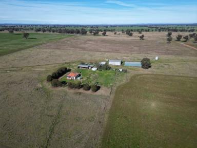 Farm Sold - NSW - Young - 2594 - Ideal Tree Change Or Bolt On Acquisition  (Image 2)