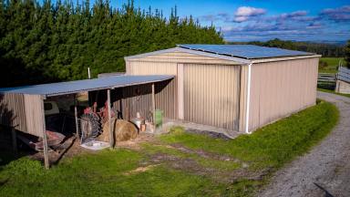 Farm Sold - TAS - Smithton - 7330 - Excellent Location with 9.429 HA's and a Large Shed with Power  (Image 2)
