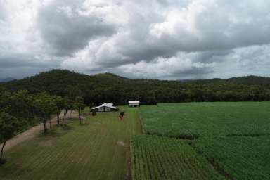 Farm Sold - QLD - Mount Pelion - 4741 - "AUCTION" Mt Pelion Cane Farm 
One Mile Creek Road


PLEASE NOTE DATE CHANGE FOR AUCTION    26/04/23 same venue and time  (Image 2)