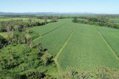 Farm Sold - QLD - Kelsey Creek - 4800 - Ideal Starter Block - Small Whitsunday Cane Farm  (Image 2)