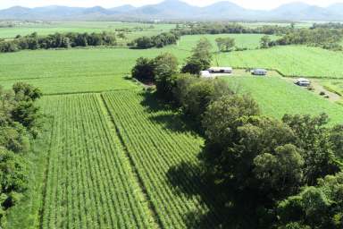 Farm Sold - QLD - Kelsey Creek - 4800 - Ideal Starter Block - Small Whitsunday Cane Farm  (Image 2)