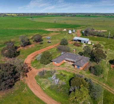 Farm Sold - VIC - Fairley - 3579 - Diverse Farming Opportunity  (Image 2)