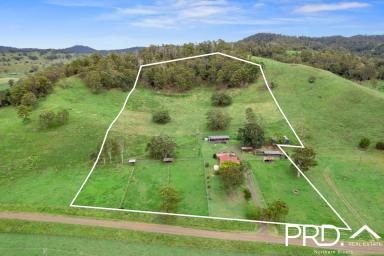 Farm Sold - NSW - Kyogle - 2474 - Picture-Perfect Country Home  (Image 2)