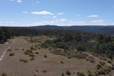Farm Sold - TAS - Buckland - 7190 - Land with Loads of Potential  (Image 2)