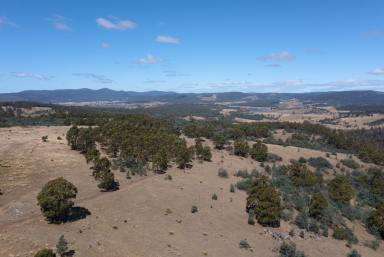 Farm Sold - TAS - Buckland - 7190 - Land with Loads of Potential  (Image 2)