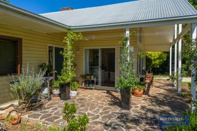 Farm Sold - NSW - Black Mountain - 2365 - Blending classic Australian country lifestyle with traditional farming  (Image 2)