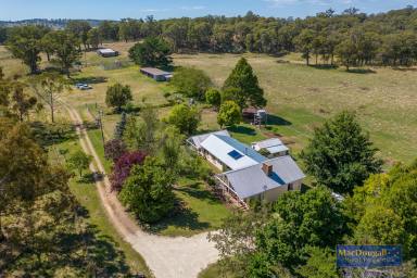 Farm Sold - NSW - Black Mountain - 2365 - Blending classic Australian country lifestyle with traditional farming  (Image 2)