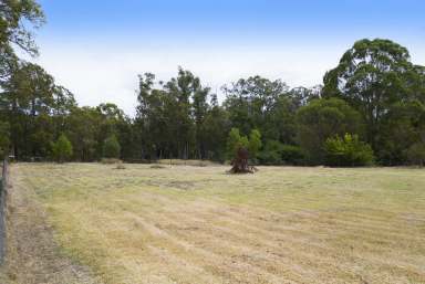 Farm Sold - WA - Nannup - 6275 - Level 4,047sqm town block  (Image 2)