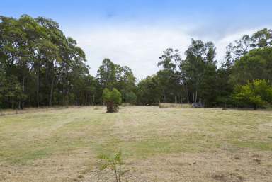 Farm Sold - WA - Nannup - 6275 - Level 4,047sqm town block  (Image 2)