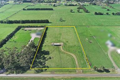 Farm Sold - VIC - Terang - 3264 - Powered Up and Ready to Go!!!  (Image 2)