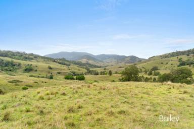 Farm Sold - NSW - Singleton - 2330 - "DENBY" | 700 AC OF OUTSTANDING GRAZING COUNTRY  (Image 2)