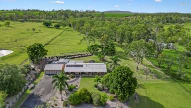 Farm Sold - QLD - Maroondan - 4671 - COMPLETE FAMILY LIFESTYLE PACKAGE!  (Image 2)