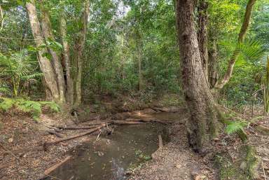 Farm Sold - QLD - Cooroy - 4563 - Hinterland Acreage With Rainforest Too!  (Image 2)