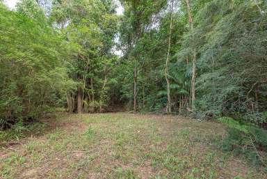 Farm Sold - QLD - Cooroy - 4563 - Hinterland Acreage With Rainforest Too!  (Image 2)