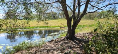 Farm Sold - QLD - Horse Camp - 4671 - 24.8 Acre block with Creek and Spring Fed Dam.  (Image 2)