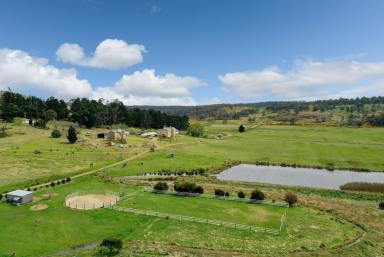 Farm Sold - TAS - Stonehenge - 7120 - One of Tasmania's most significant properties  (Image 2)