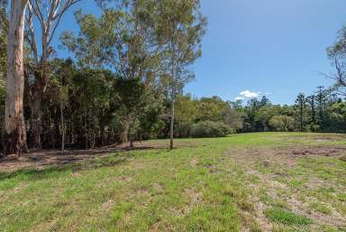 Farm Sold - QLD - Cooroy - 4563 - Cottage on Useable Small Acreage  (Image 2)