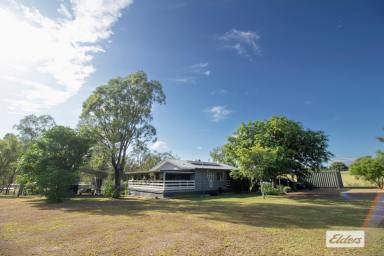 Farm Sold - QLD - Laidley Heights - 4341 - Tidy home on acreage - enjoy the quiet life.  (Image 2)