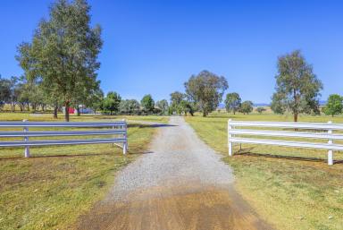 Farm Sold - NSW - Tamworth - 2340 - Retirement Dictates  (Image 2)