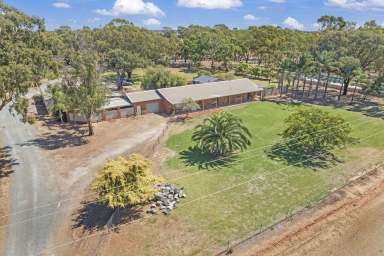 Farm Sold - VIC - Echuca - 3564 - Country Lifestyle Awaits  (Image 2)