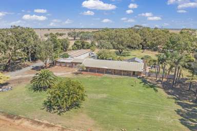 Farm Sold - VIC - Echuca - 3564 - Country Lifestyle Awaits  (Image 2)