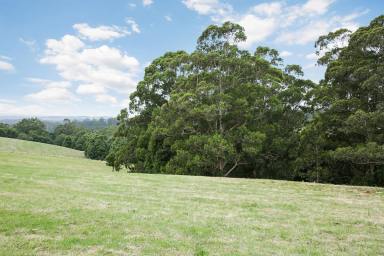 Farm Sold - VIC - Beech Forest - 3237 - PICTURESQUE OTWAY DISTRICT PROPERTY  (Image 2)