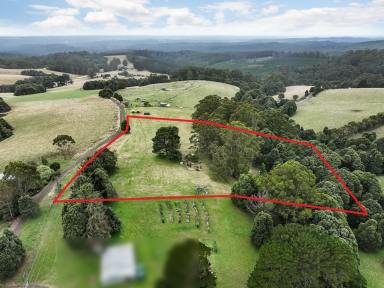 Farm Sold - VIC - Beech Forest - 3237 - PICTURESQUE OTWAY DISTRICT PROPERTY  (Image 2)