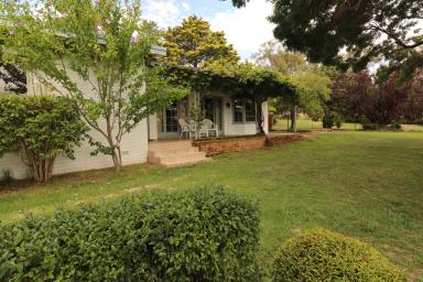 Farm Sold - NSW - Glen Innes - 2370 - Country Charm With The Convenience Of Town  (Image 2)