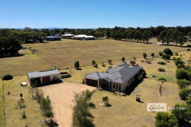 Farm Sold - VIC - Eagle Point - 3878 - Just over 1 acre, 3 bed plus study.  (Image 2)