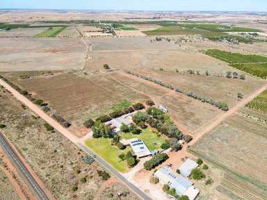 Farm Sold - VIC - Lake Boga - 3584 - Life Style  (Image 2)