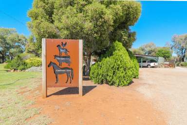 Farm Sold - VIC - Lake Boga - 3584 - Life Style  (Image 2)