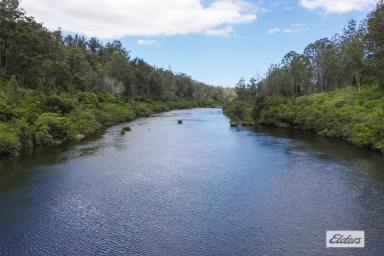 Farm Sold - NSW - Nymboida - 2460 - RURAL SETTING WITH RIVER ACCESS (NOT FRONTAGE)  (Image 2)