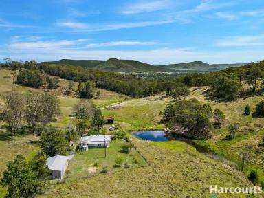 Farm Sold - NSW - Martins Creek - 2420 - Lifestyle Farm With Birds Eye Rural Views! Owner Will Consider All Reasonable Offers  (Image 2)