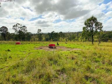 Farm Sold - QLD - Sandy Ridges - 4615 - The Three Mile – 374 acres (151.3ha)  (Image 2)
