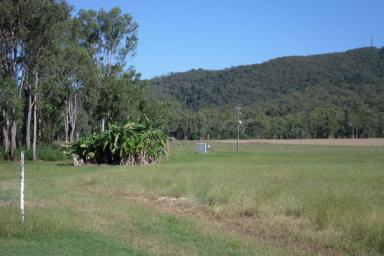Farm Sold - QLD - Koumala - 4738 - LOOKING TO GO RURAL?  (Image 2)