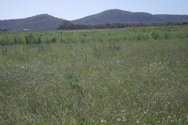 Farm Sold - QLD - Bloomsbury - 4799 - UNDER CONTRACT - 64 ACRES VACANT FARMING LAND.  (Image 2)