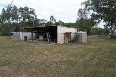 Farm Sold - QLD - Nebo - 4742 - NEBO - HOMESTEAD ON 63 ACRES  (Image 2)