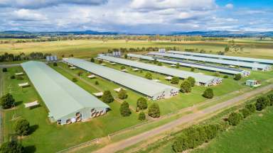 Farm Sold - QLD - Gleneagle - 4285 - SE QLD Free range broiler farm - Cattle - Cropping  (Image 2)