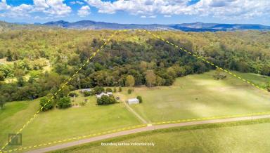 Farm Sold - QLD - Cainbable - 4285 - A new year, a new lifestyle  (Image 2)