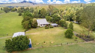 Farm Sold - QLD - Cainbable - 4285 - A new year, a new lifestyle  (Image 2)
