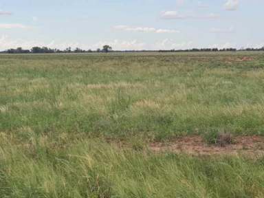 Farm For Sale - NSW - Enngonia - 2840 - Large Scale Western Division Grazing Asset  (Image 2)