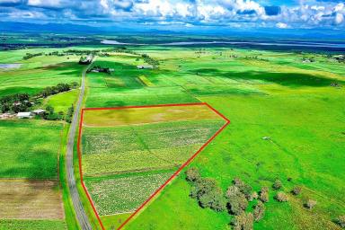 Farm Sold - QLD - Alligator Creek - 4740 - A Little bit of country - 15 picturesque acres  (Image 2)