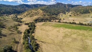 Farm Sold - QLD - Running Creek - 4287 - 'Green Acres' 1,124 acres in three titles  (Image 2)