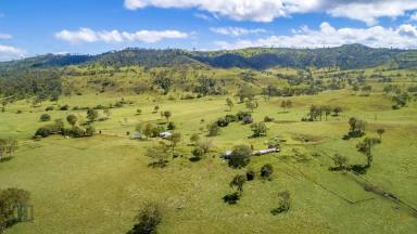 Farm Sold - QLD - Laravale - 4285 - "Echo Hills" 859.12 ha in 7 titles, less than 100 km south of Brisbane  (Image 2)